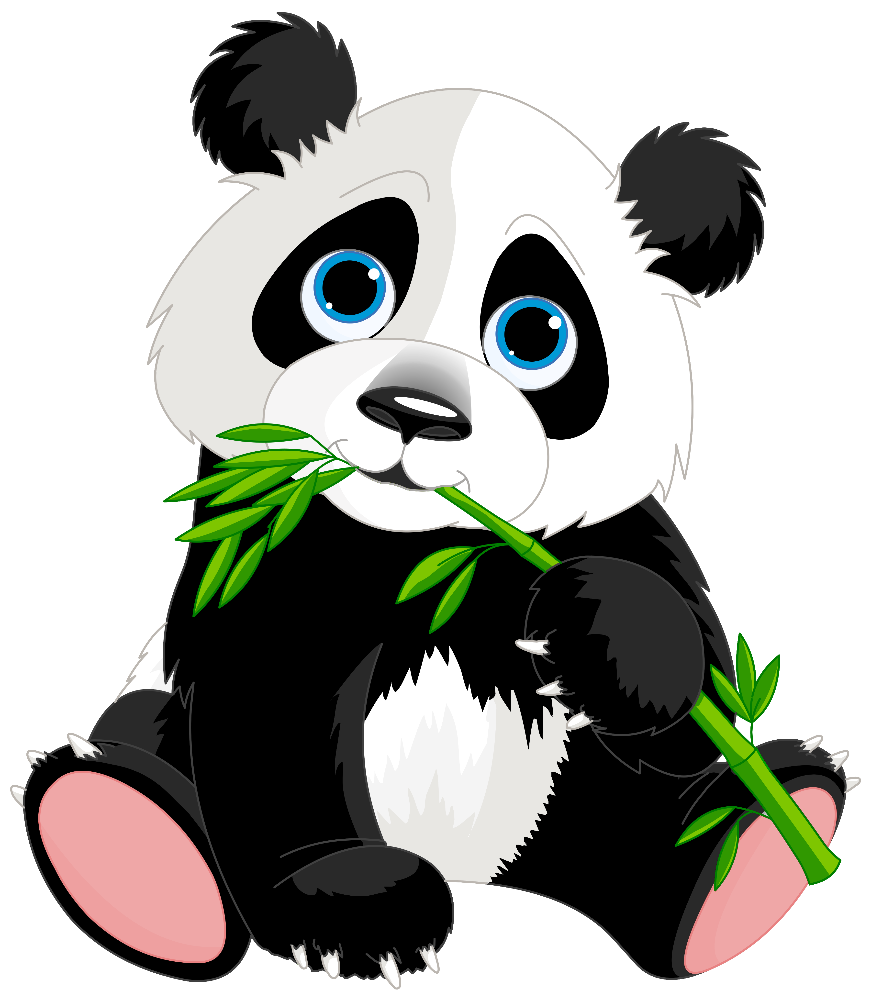 a panda